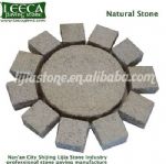 Dark gray stepping paver different kind of stone